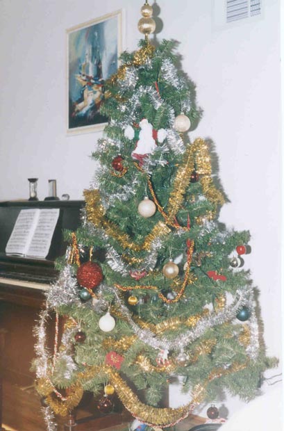 Our_Christmas_Tree